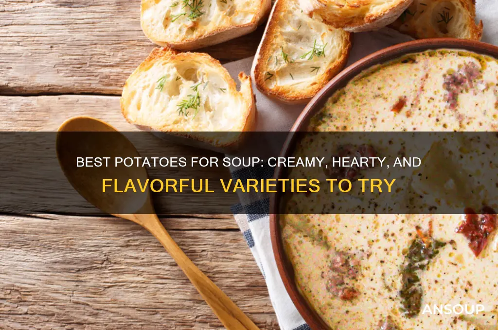 Soup Success: Match the Right Potato for Perfect Texture